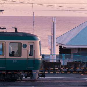 张柏芝吃鸡图片原图高清
